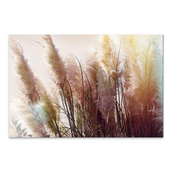 Πίνακας σε καμβά Soft Pampas Megapap ψηφιακής εκτύπωσης 90x60x3εκ.