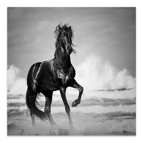 Πίνακας σε καμβά Black Horse Megapap ψηφιακής εκτύπωσης 60x60x3εκ.