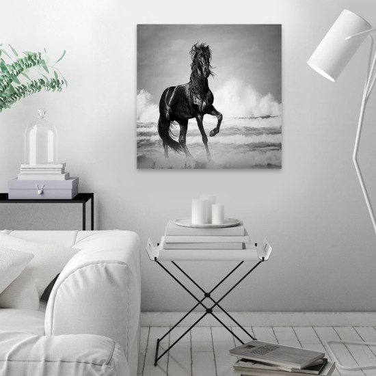 Πίνακας σε καμβά Black Horse Megapap ψηφιακής εκτύπωσης 60x60x3εκ.