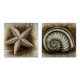 Πίνακες σε καμβά Starfish - Shell Megapap 2 τμχ. ψηφιακής εκτύπωσης 103x50x3εκ.