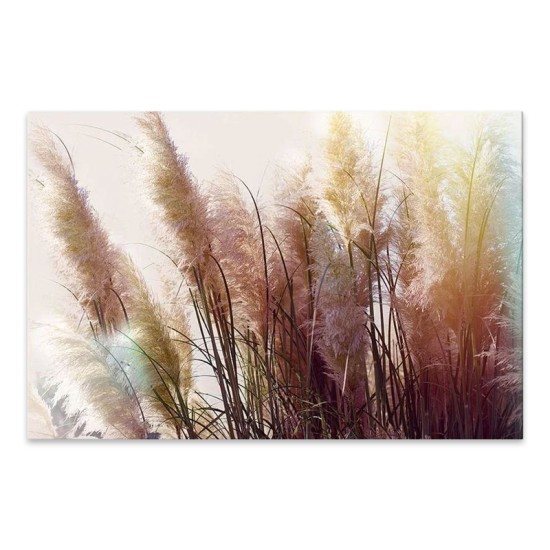Πίνακας σε καμβά Soft Pampas Megapap ψηφιακής εκτύπωσης 125x80x3εκ. Πίνακας σε καμβά Soft Pampas Megapap ψηφιακής εκτύπωσης 125x80x3εκ.