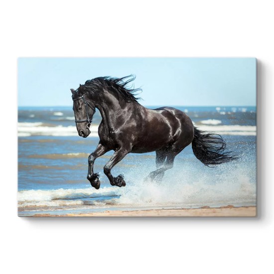 Πίνακας σε καμβά Black Horse Megapap ψηφιακής εκτύπωσης 100x70x3εκ.