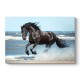 Πίνακας σε καμβά Black Horse Megapap ψηφιακής εκτύπωσης 100x70x3εκ.