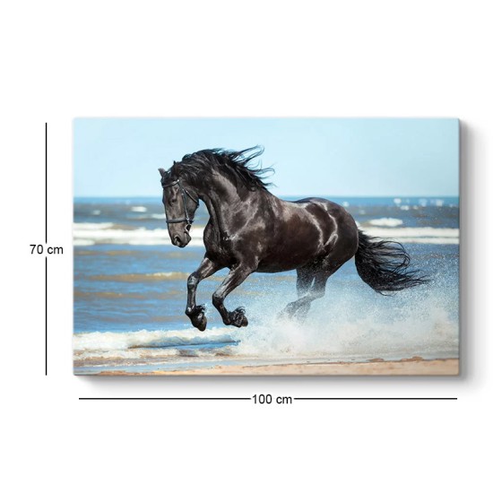 Πίνακας σε καμβά Black Horse Megapap ψηφιακής εκτύπωσης 100x70x3εκ.