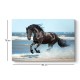 Πίνακας σε καμβά Black Horse Megapap ψηφιακής εκτύπωσης 100x70x3εκ.
