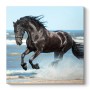 Πίνακας σε καμβά "Black Horse" Megapap ψηφιακής εκτύπωσης 60x60x3εκ.