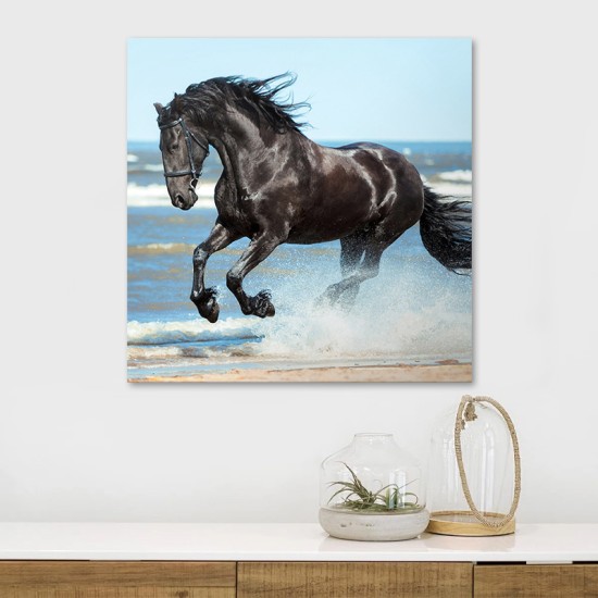 Πίνακας σε καμβά "Black Horse" Megapap ψηφιακής εκτύπωσης 60x60x3εκ. Πίνακας σε καμβά Black Horse Megapap ψηφιακής εκτύπωσης 60x60x3εκ.