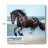 Πίνακας σε καμβά "Black Horse" Megapap ψηφιακής εκτύπωσης 60x60x3εκ.