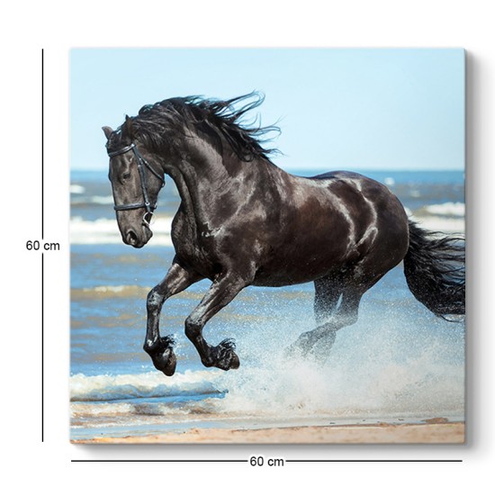Πίνακας σε καμβά "Black Horse" Megapap ψηφιακής εκτύπωσης 60x60x3εκ. Πίνακας σε καμβά Black Horse Megapap ψηφιακής εκτύπωσης 60x60x3εκ.