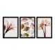 Πίνακας Pink Flowers Megapap 3 τμχ. σε πλαίσιο 35x45x2εκ. Πίνακας Pink Flowers Megapap 3 τμχ. σε πλαίσιο 35x45x2εκ.