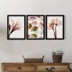 Πίνακας Pink Flowers Megapap 3 τμχ. σε πλαίσιο 35x45x2εκ. Πίνακας Pink Flowers Megapap 3 τμχ. σε πλαίσιο 35x45x2εκ.
