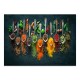 Πίνακας σε καμβά Spices Megapap ψηφιακής εκτύπωσης 70x50x3εκ.