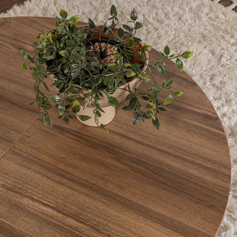 Τραπεζάκι σαλονιού σετ 2 τμχ Moira Megapap χρώμα καρυδί Ø90x41εκ.