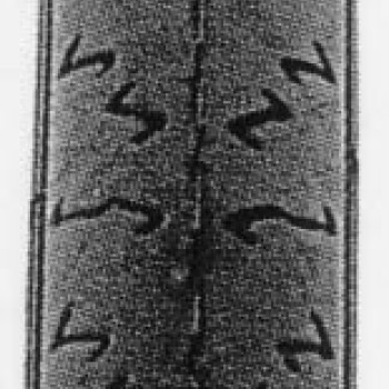 BYOX tyre 700“ x 23C  ZHX-615