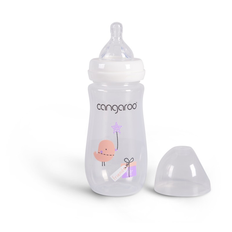 Pp baby bottle Birdy blu girl color 300 ml - C0563