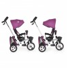 Tricycle Flexy lux purple