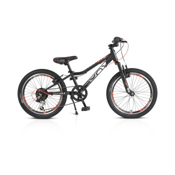 Bicycle 20“ Tucana black