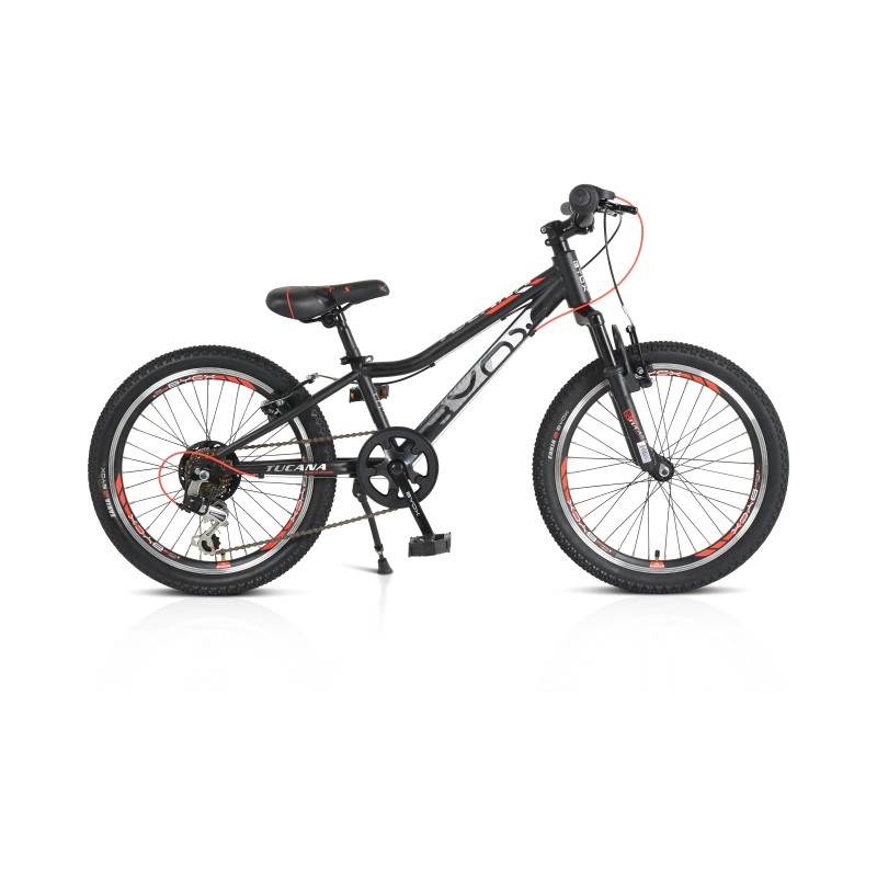 Bicycle 20“ Tucana black