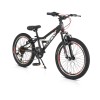 Bicycle 20“ Tucana black