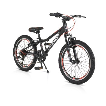 Bicycle 20“ Tucana black