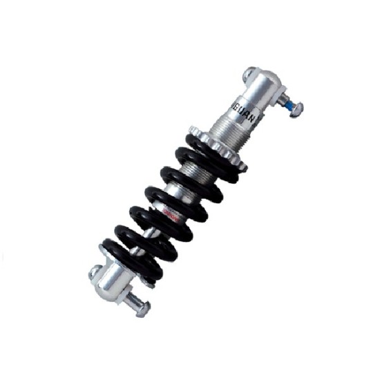 Bicycle frame suspention 170mm