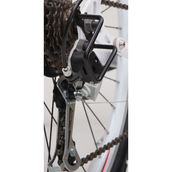 Guard for rear deraileur Guard for rear deraileur