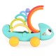 Hola Rainbow Chameleon HA795700