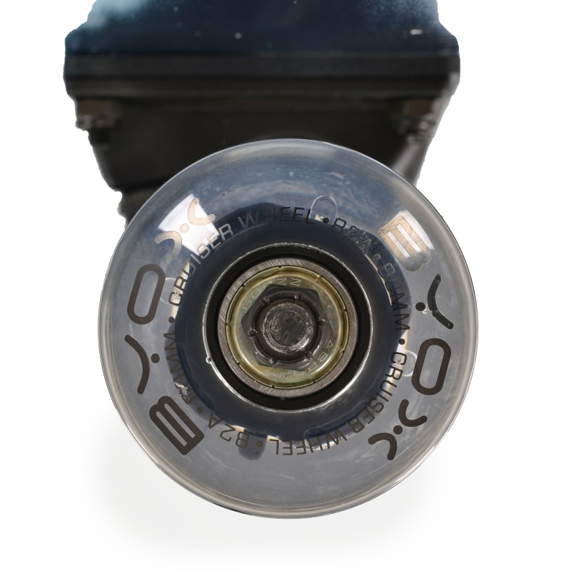 Scateboard 28“ Lion