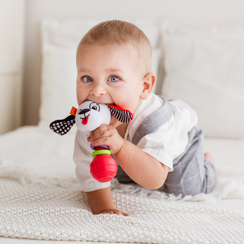 Bali Bazoo 82028 Rattle dog Pedro