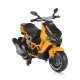 BO RIMINI yellow BO RIMINI yellow