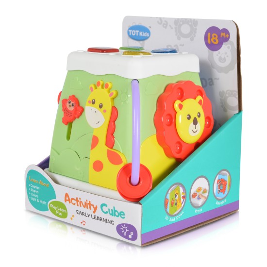 Activity cube 3012