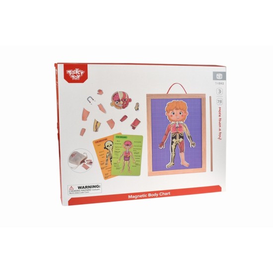 Body Magnetic Chart - TH842 Body Magnetic Chart - TH842