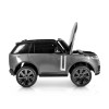 BO Range Rover panting grey