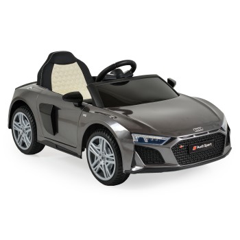 BO Audi R8 Spyder silver painting