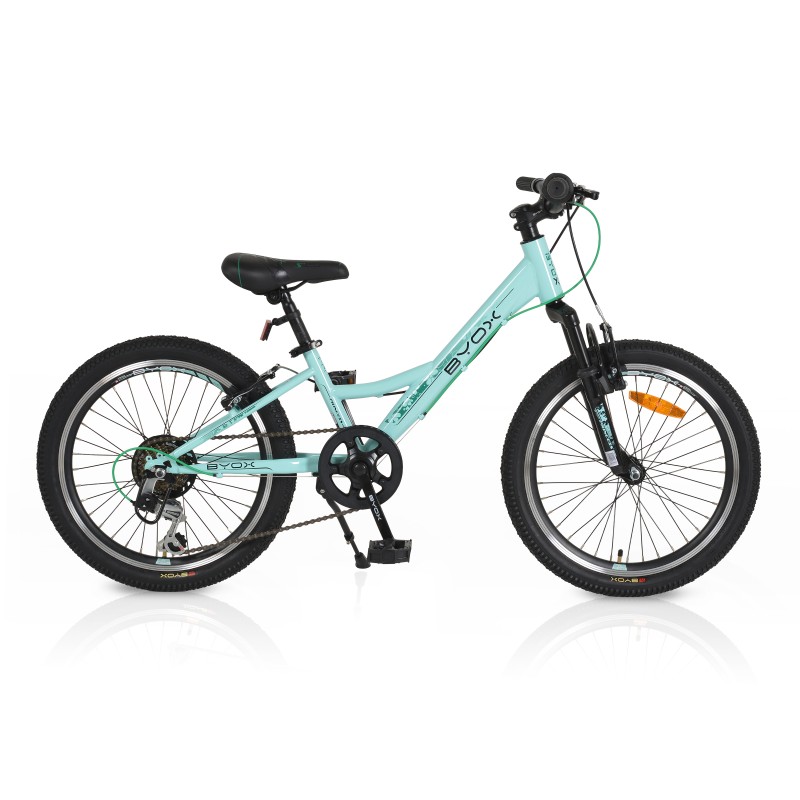 Bicycle 20 Princess mint