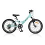 Bicycle 20 Princess mint