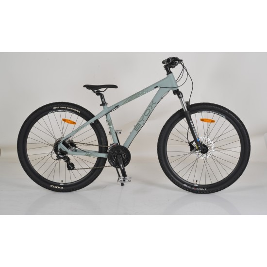 Bicycle alloy hdb 29“ Epoch