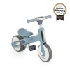 Learn-to-Ride mini balance bike blue