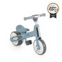 Learn-to-Ride mini balance bike blue