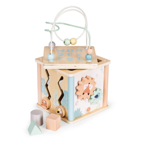 Wooden educational cube sorter Ecotoys blocks Wooden educational cube sorter Ecotoys blocks