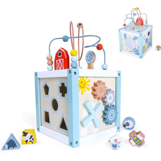 Wooden educational cube sorter + blocks ECOTOYS Wooden educational cube sorter + blocks ECOTOYS