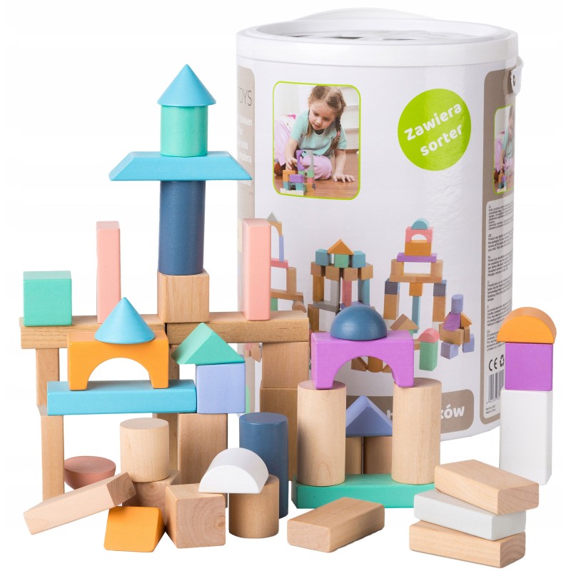 Wooden blocks 100 pcs, bucket + sorter Ecotoys