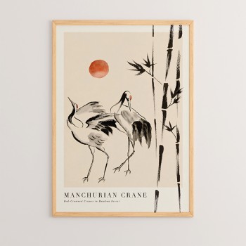 Πίνακας Birdo pakoworld με ψηφιακή εκτύπωση και πλαίσιο 33x1.5x48εκ