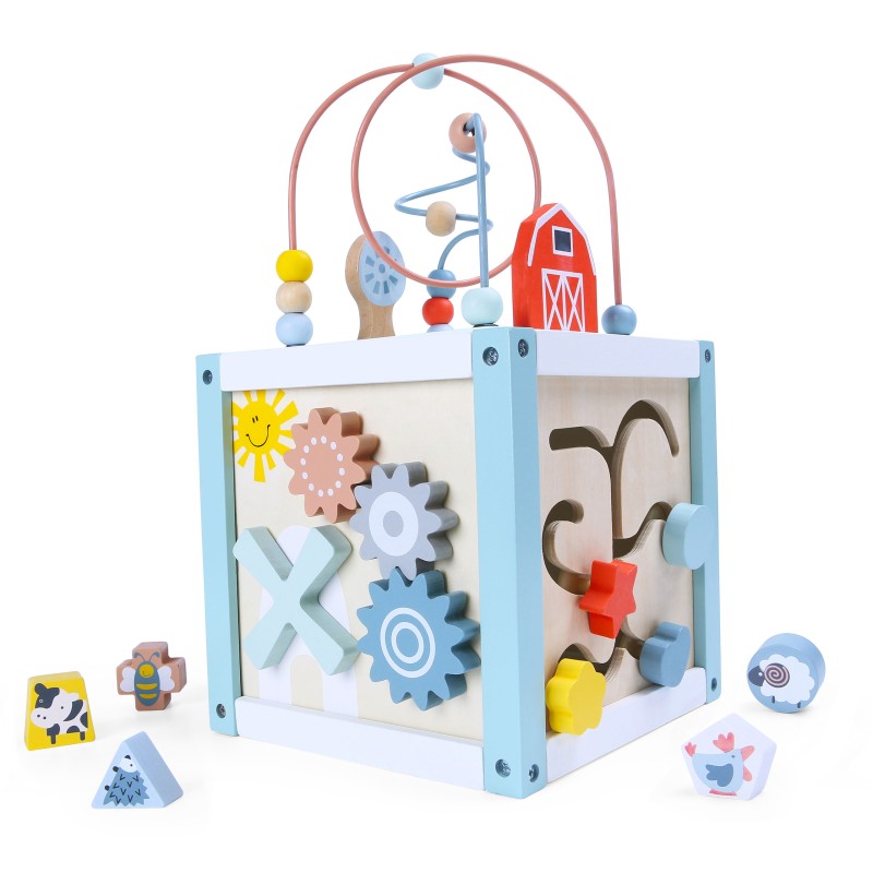 Wooden educational cube sorter + blocks ECOTOYS