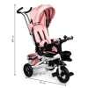 Rotating tricycle 360° Pink Delux with canopy