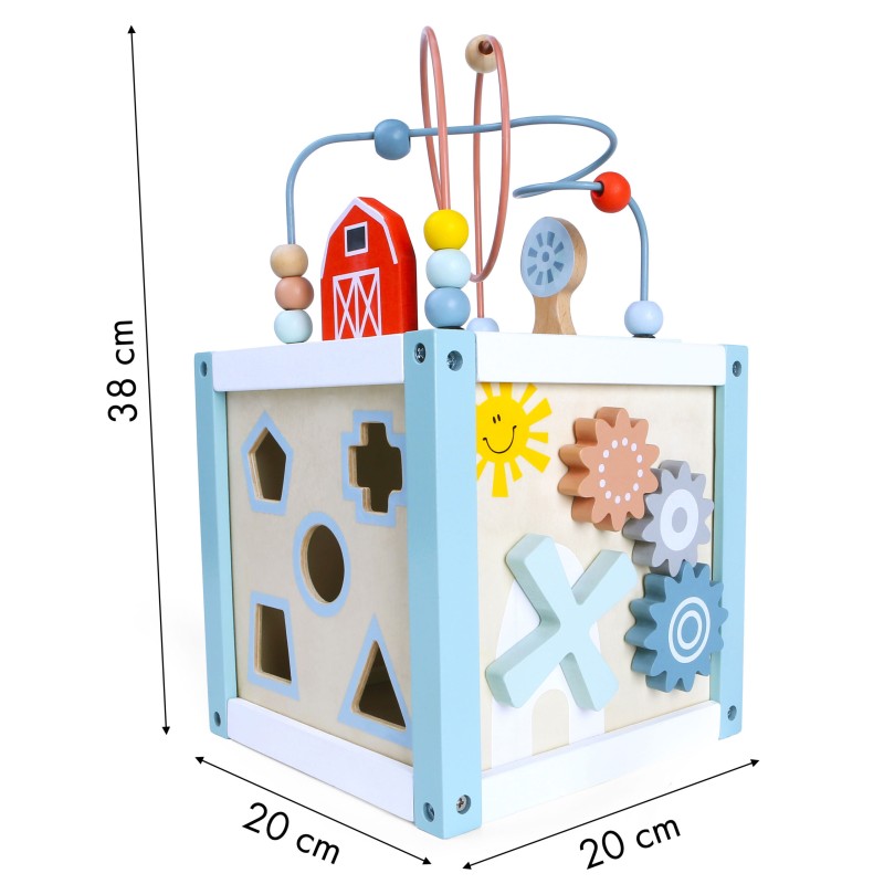 Wooden educational cube sorter + blocks ECOTOYS