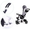 Tricycle with rotating seat 360 ECOTOYS, gray