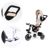 Tricycle with rotating seat 360 ECOTOYS beige