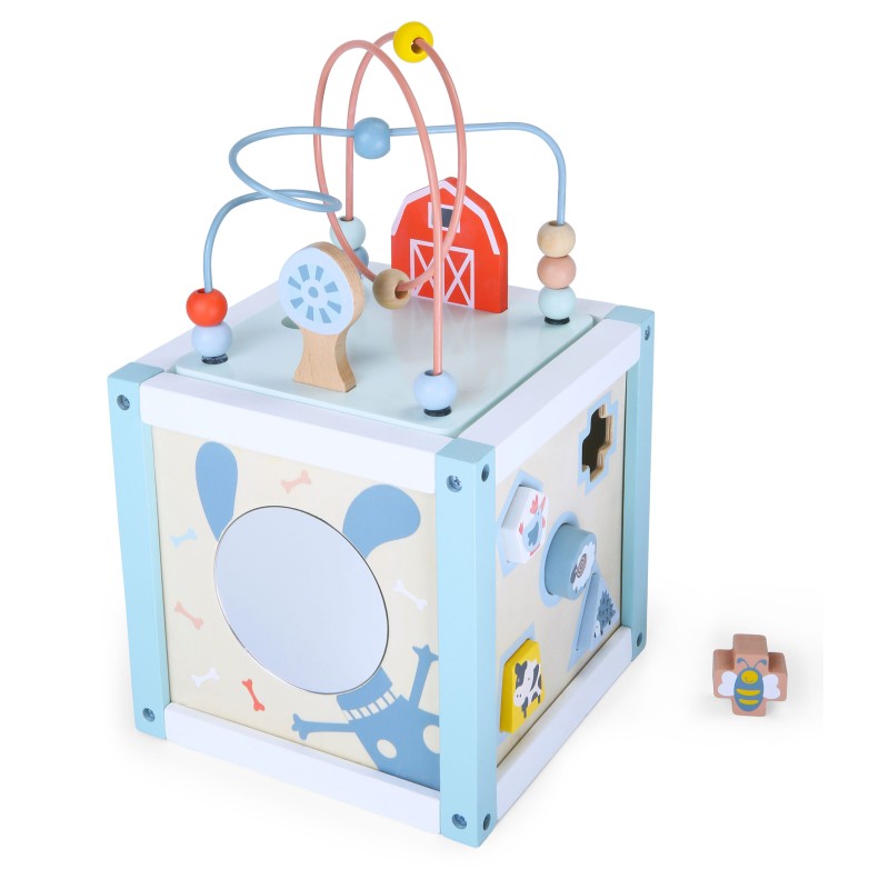 Wooden educational cube sorter + blocks ECOTOYS