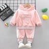 Baby Fleece Velour Hoodie Set - Pink